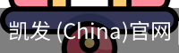 凯发 (China)官网 | 天生赢家·一触即发